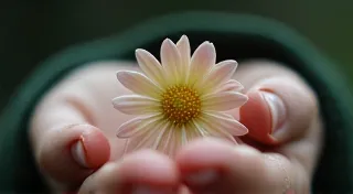 The Metaphor of Mending: Cultivating Self-Compassion in the Writing Journey